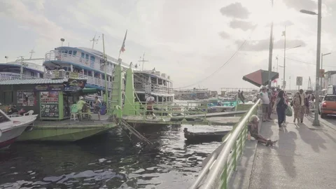 Amazonas 02 Stock Footage 126361754