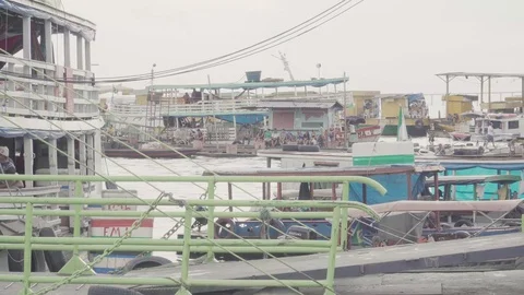 Amazonas 03 Stock Footage 126361949