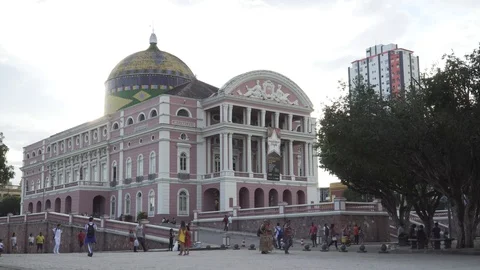 Amazonas 05 Stock Footage 126362067