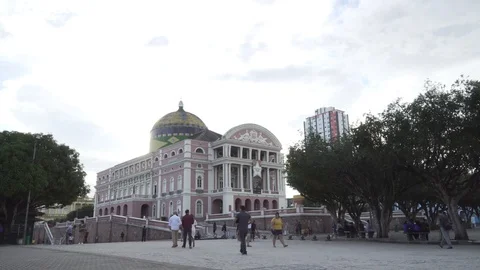 Amazonas 06 Stock Footage 126362107