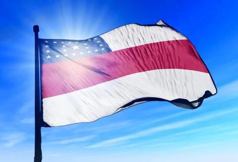 Amazonas (brazil) flag waving on the wind Stock Illustration