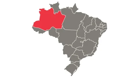 Amazonas federative unit blinking red highlighted in map of Brazil Stock Footage 156189406