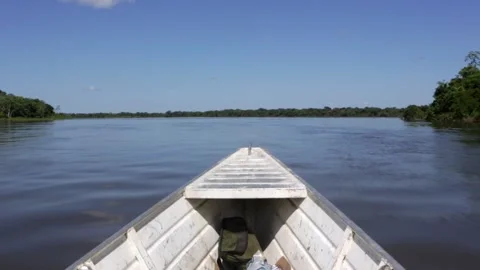 Amazonas River landscape from a motor boat in the Amazon rainforest.  Stock Footage 159720554