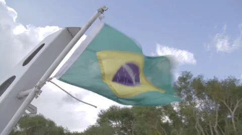 Amazonia FLAG BRASIL Stock Footage 56650172