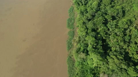 Amazonia Stockbeeldmateriaal 143547651