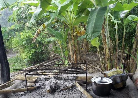 Amazonia forest kitchen Stock Photos