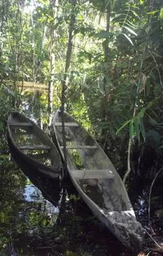 Amazonia Stock Photos