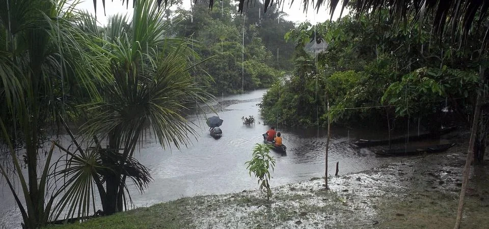 Amazonia rain Stock Photos
