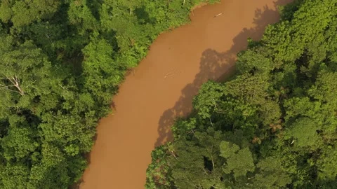 Amazonia River H264 UHD 009 動画素材 132769484