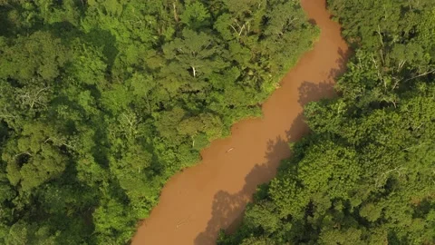 Amazonia River H264 UHD 010 動画素材 132769422