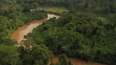 Amazonia River H264 UHD 012 Stock Footage
