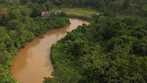Amazonia River H264 UHD 013 Stock Footage
