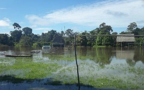 Amazonia river Tahuayo Stock Photos