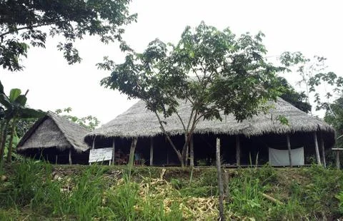 Amazonia river Tahuayo Foto stock