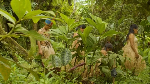 Amazonian indigenous family in the jungle coming back to home in ecuador Stock Footage