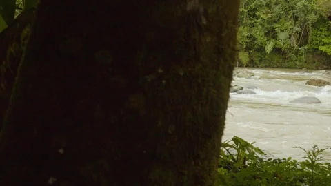 Amazonian indigenous man meditating at the edge of a river in ecuador Video stock 113512733