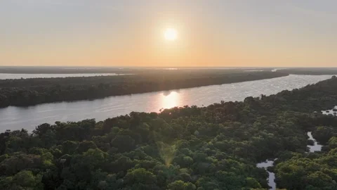 Amazonian Sunrise. Amazon Rainforest. Riverside Islands. Wildlife Background. Stock Footage 345693602