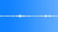 Amb_Night_Forrest_Wind_Gusts_Leaves_Winter_02.wavSound Effect