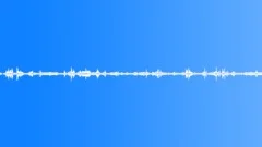 Amb_Night_Forrest_Wind_Gusts_Rustling_Shutter_On_open_Window.wavSound Effect