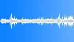 Ambeint Birds, Ducks and GeeseSound Effect