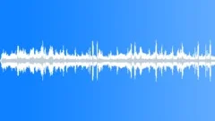Ambeint Birds, Ducks and GeeseSound Effect
