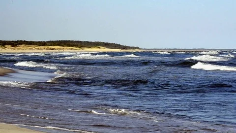 Amber on a beach of the Baltic Sea Stock Footage 72975113