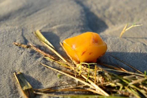 Amber on the beach Foto stock