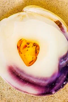 Amber with embedded insect Stock Photos