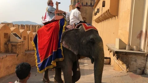 Amber Fort inside view, many tourists from different countries and elephants Stock Footage 119995739