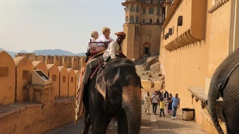 Amber Fort inside view, many tourists from different countries and elephants Stock Footage 119995868