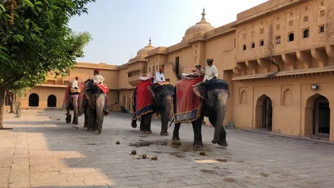 Amber Fort inside view, many tourists from different countries and elephants Stock Footage 119995926