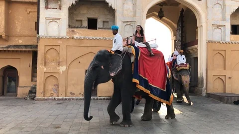 Amber Fort inside view, many tourists from different countries and elephants Stock Footage 119996023