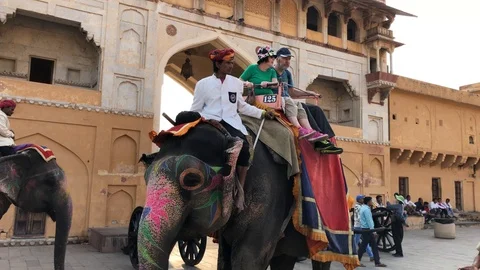 Amber Fort inside view, many tourists from different countries and elephants Stock Footage 119996046