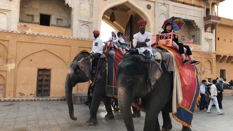 Amber Fort inside view, many tourists from different countries and elephants Stock Footage 119996117