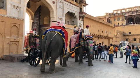 Amber Fort inside view, many tourists from different countries and elephants Stock Footage 119996177
