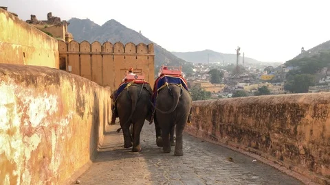 Amber Fort inside view, many tourists from different countries and elephants Stock Footage 119996210