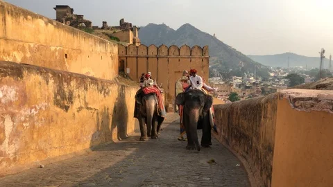 Amber Fort inside view, many tourists from different countries and elephants Stock Footage 119996245