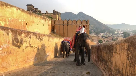 Amber Fort inside view, many tourists from different countries and elephants Stock Footage 119996376