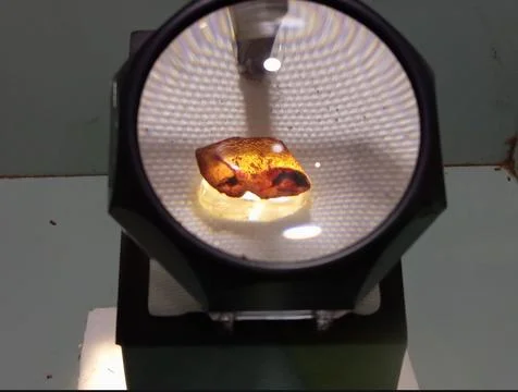 Amber gemstone displayed inside a magnifying glass Stock Photos