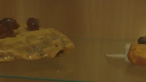 Amber in museum Vídeos de archivo 94722388
