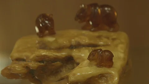 Amber in museum Stock-Footage 94722399