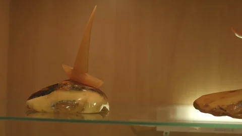 Amber in museum Stock-Footage 94722405