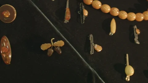 Amber in museum 動画素材 94722469