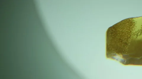 Amber in museum Stock-Footage 94722514