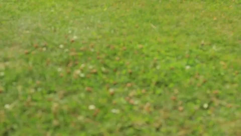 Amber museum Stock Footage 99118627