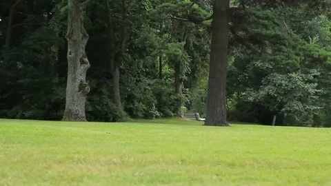 Amber museum Stock Footage 99118628