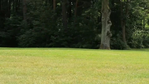 Amber museum Stock Footage 99118639