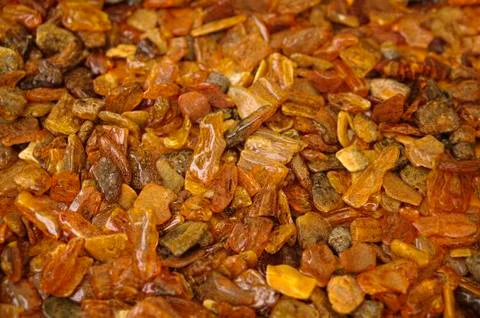 Amber Stock Photos