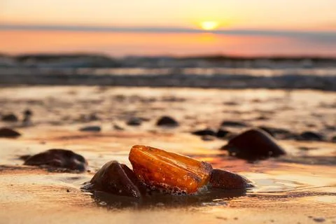 Amber stone on the beach. Precious gem, treasure. Baltic Sea Stock Photos