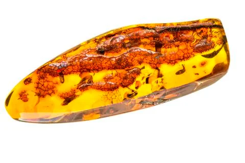 Amber stone in a closeup Stock Photos